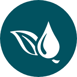 custom_icon2